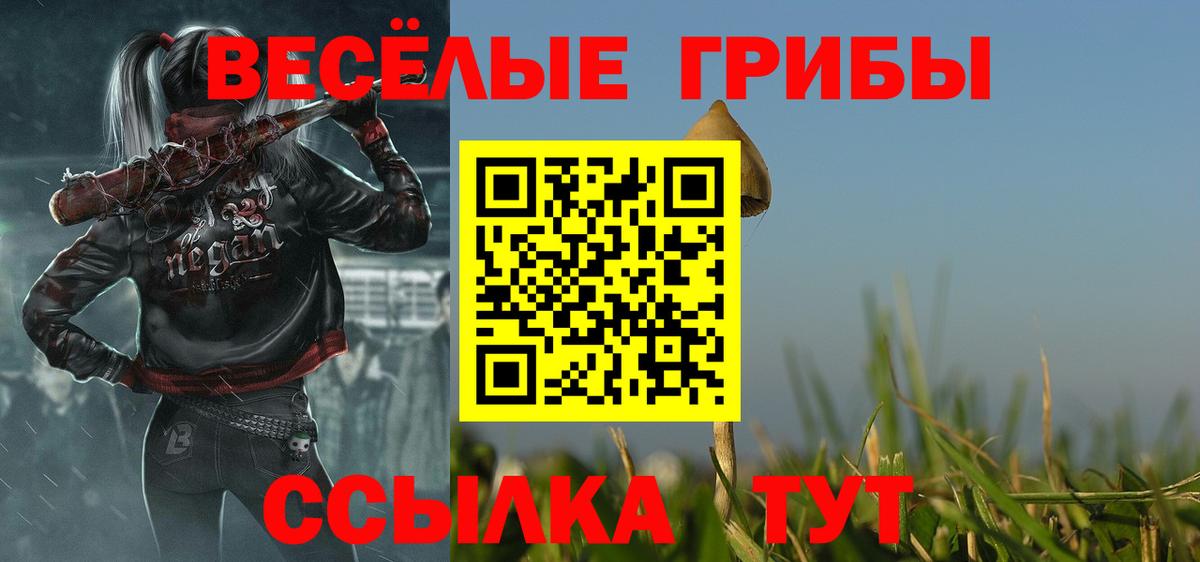 Псилоцибиновые грибы мицелий Новочебоксарск